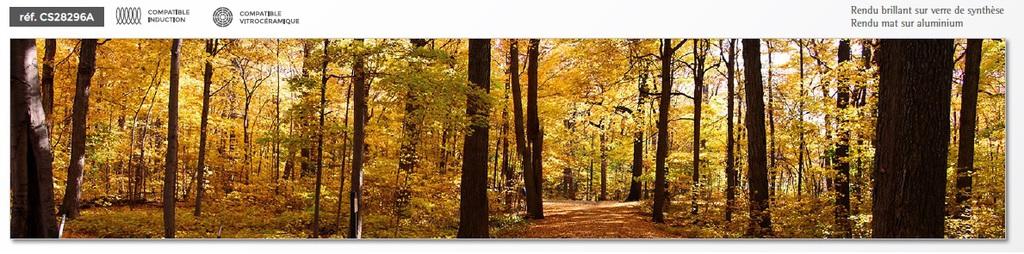 VENIDOM-CUISINE-BORDEAUX-cache_16695210