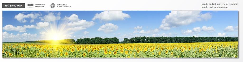 VENIDOM-CUISINE-BORDEAUX-cache_16695215