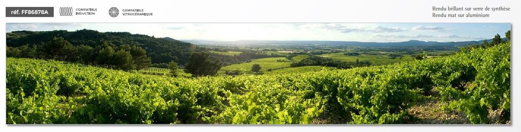 VENIDOM-CUISINE-BORDEAUX-cache_16695218