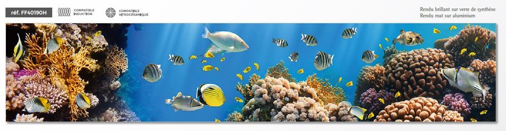 VENIDOM-CUISINE-BORDEAUX-cache_16695224