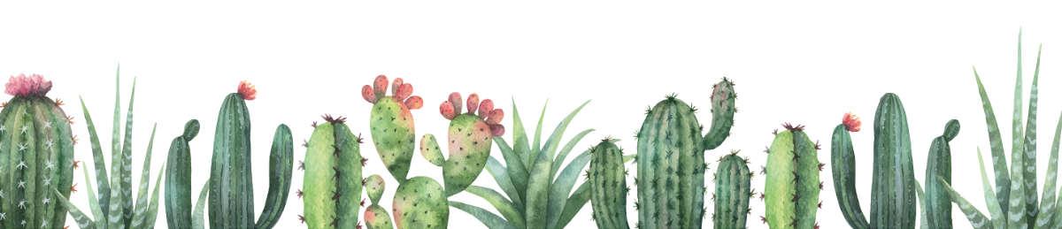 VENIDOM-CUISINE-BORDEAUX-glasnischenmotiv-4