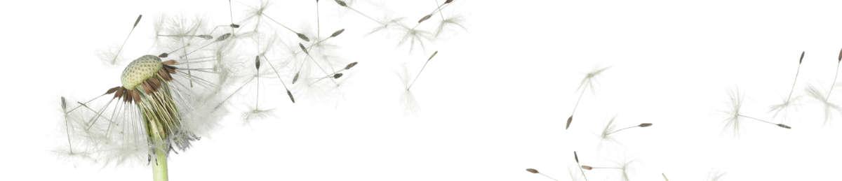 VENIDOM-CUISINE-BORDEAUX-glasnischenmotiv